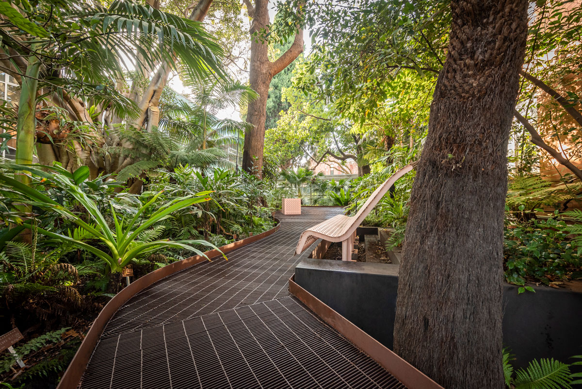 Project photograph of UoM - Rainforest Walk